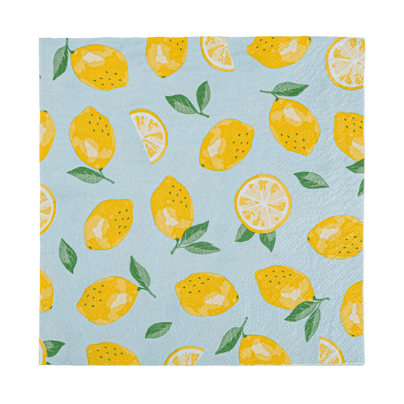 33x33 সম্পূর্ণ-প্রিন্টিং 2-প্লাই পেপার ন্যাপকিনস পেপার ফ্রুট প্যাটার্ন SJ5101